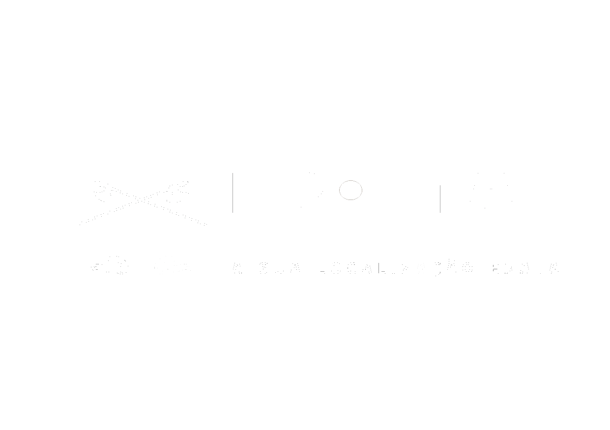 Frontal Rastreamento